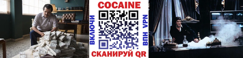 цена наркотик  Чехов  COCAIN FishScale 
