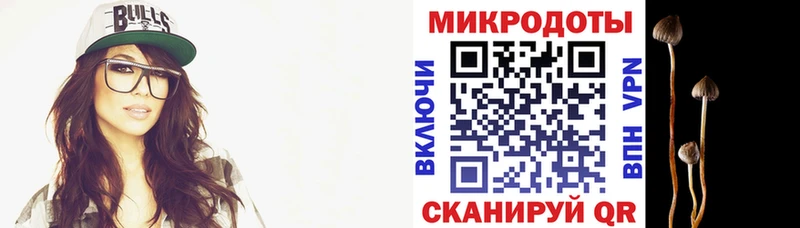 Псилоцибиновые грибы MAGIC MUSHROOMS  купить наркотик  нарко площадка телеграм  Чехов 