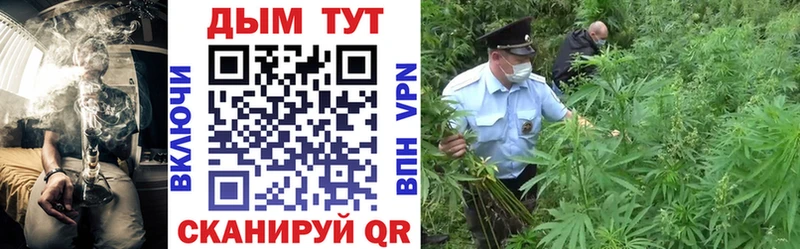 мега ссылка  Чехов  Бошки марихуана OG Kush 
